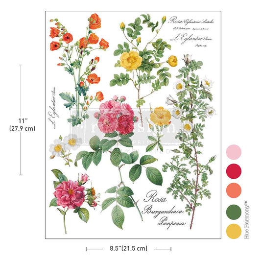 H2O Transfers Single Sheet - Poetry In Petals
